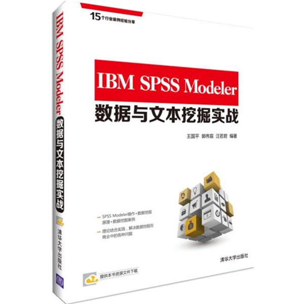 【正版】IBM SPSS Modeler数据与文本挖掘实战 王国平、郭伟宸、汪若