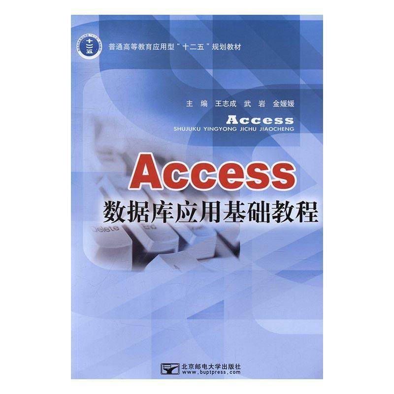 【正版】Access数据库应用基础教程 普通高等教育应用型十二五规划 王志成、武岩、金媛媛