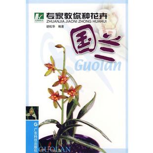 【正版书】 专家教你种花卉 国兰 胡松华 编著 广东科技出版社