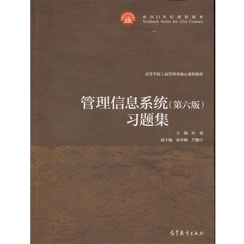 【正版】管理信息系统（第六版）习题集【单本】 叶强、孙华梅、芦鹏宇