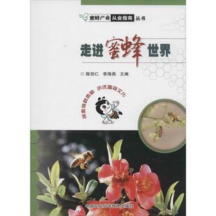 【正版书】 走进蜜蜂世界 陈恕仁,李海燕著作 中国农业科学技术出版社