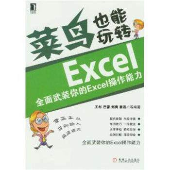 【正版书】 菜鸟也能玩转Excel:全面武装你的Excel操作能力 王杉 巴蕾 刘爽 秦晶 机械工业出版社