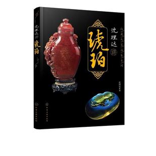 沈理达 沈理达讲琥珀 正版