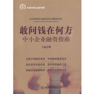 【正版】敢问钱在何方 中小企业融资指南 王宏