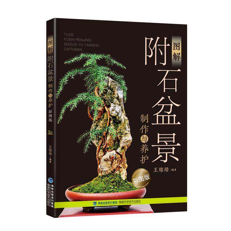 【正版书】 图解附石盆景制作与养护 王琼培 福建科技出版社