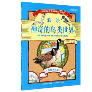 【正版书】 神奇的鸟类世界 湿地水域卷 基姆 库尔基 河北少年儿童出版社