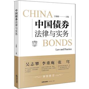 【正版书】 中国债券法律与实务 于绪刚 著 法律出版社