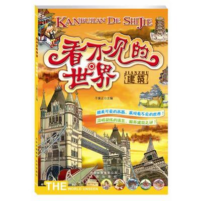 【正版书】 看不见的世界-建筑 于秉正 编 北京出版社