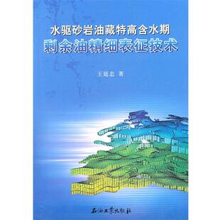 【正版书】 水驱砂岩油藏特高含水期剩余油精细表征技术 王延忠 著 石油工业出版社