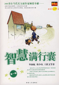 智慧满行囊 书 D一辑 正版