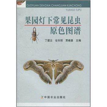 【正版书】 果园灯下常见昆虫原色图谱 丁建云,谷天明,贾峰勇　著 中国农业出版社