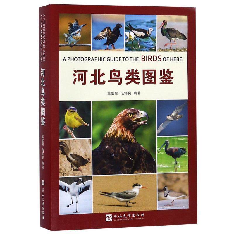 【正版书】 河北鸟类图鉴 高宏颖,范怀良 著 燕山大学出版社