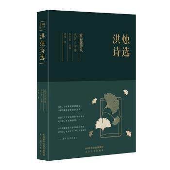 【正版书】 常春藤诗丛:洪烛诗选 洪烛著,李少君 编 太白文艺出版社