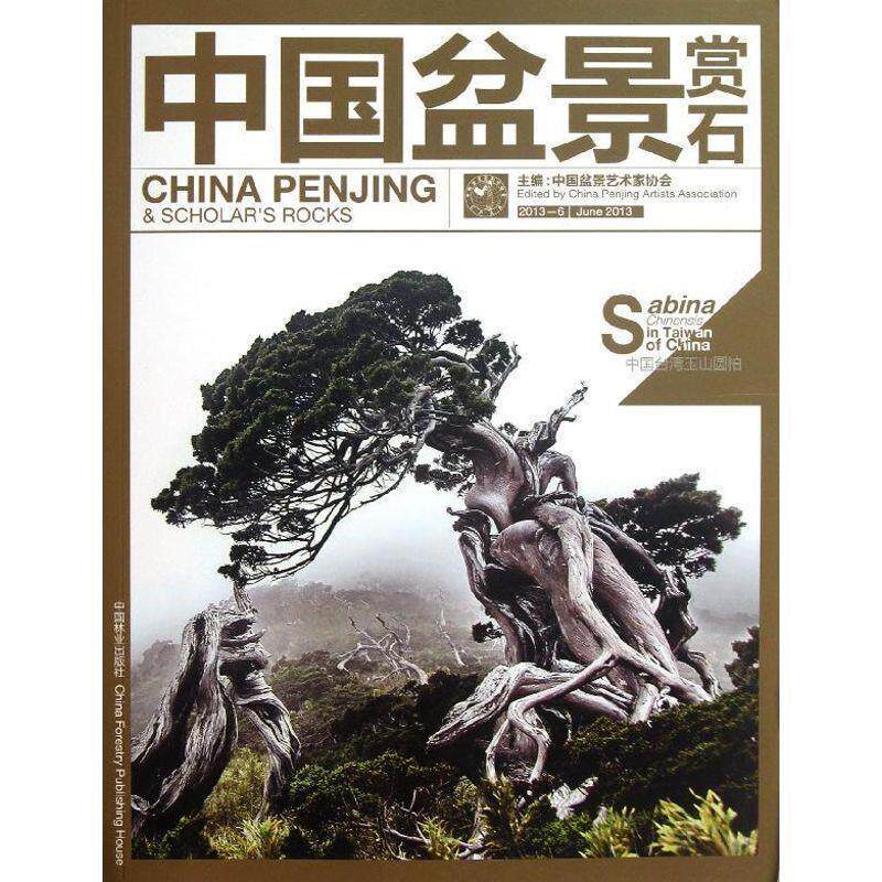 【正版书】 中国盆景赏石2013-6 中国盆景艺术家协会 编 中国林业出版社