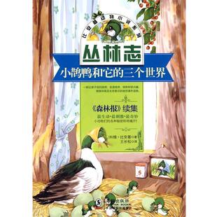 【正版书】 比安基动物小说:小鹊鸭和它的三个世界 (苏)比安基 著,王长松 译 海豚出版社