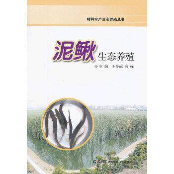 【正版】特种水产生态养殖丛书 泥鳅生态养殖 王冬武、高峰