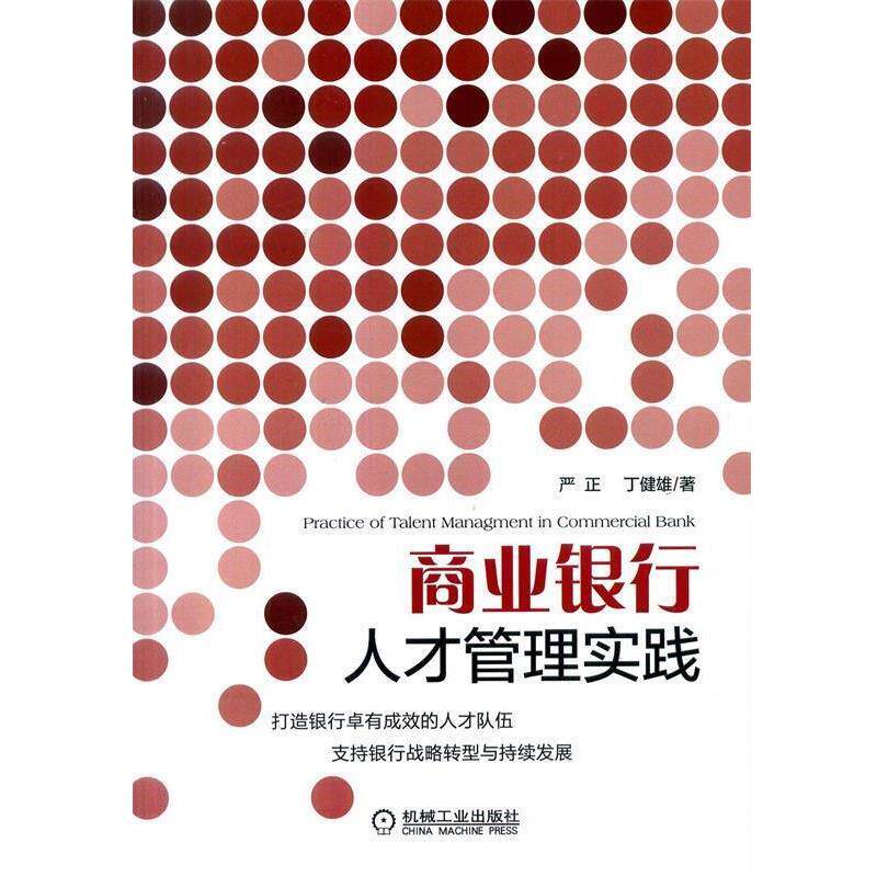 【正版书】 商业银行人才管理实践 严正,丁健雄 著 机械工业出版社