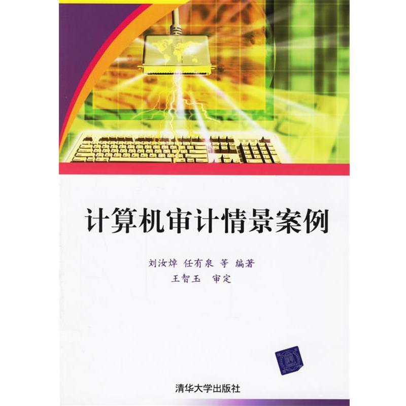 【正版书】 计算机审计情景案例 刘汝焯,任有泉 等编著 清华大学出版社