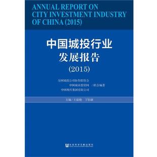 【正版】中国城投行业发展报告（2015） 王晨艳、丁伯康