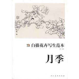【正版书】 白描花卉写生范本·月季 马鸣绘 人民美术出版社
