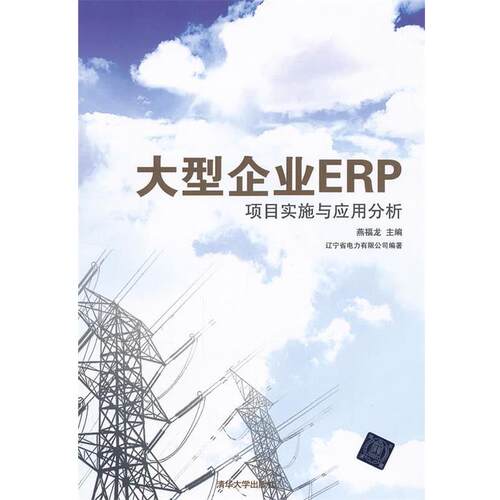 【正版书】 企业ERP项目实施与应用分析 燕福龙,辽宁省电力有限公司著 清华大学出版社
