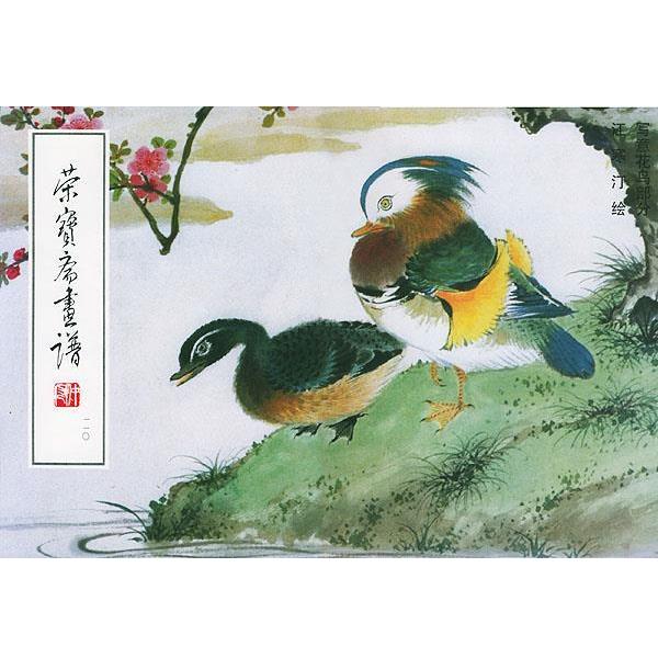 【正版书】 荣宝斋画谱 写意花鸟部分 江寒汀 绘 荣宝斋出版社图片