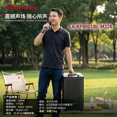 原装正品pioneer先锋M226便携式户外演绎音响电吹管吉他乐器演奏