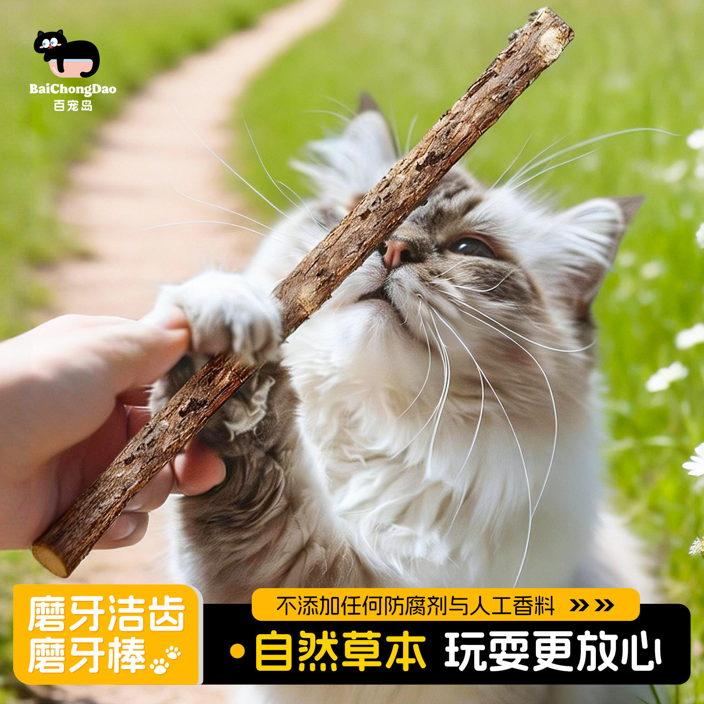 木天蓼磨牙棒磨牙洁齿耐咬自嗨解闷神器天然草本无添加猫零食玩具,宠物/宠物食品及用品,猫薄荷/木天蓼,淘宝优惠券,粉丝福利购,淘宝优惠卷