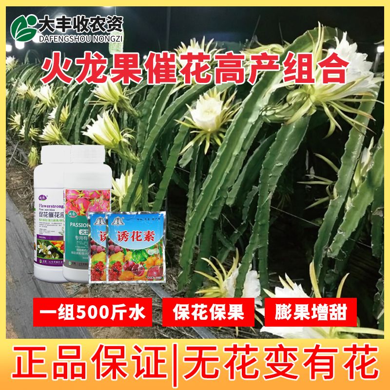 叶面肥火龙果催花促花果树诱花