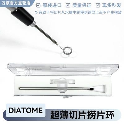 捞片环超薄切片捞样铜网载网捞样