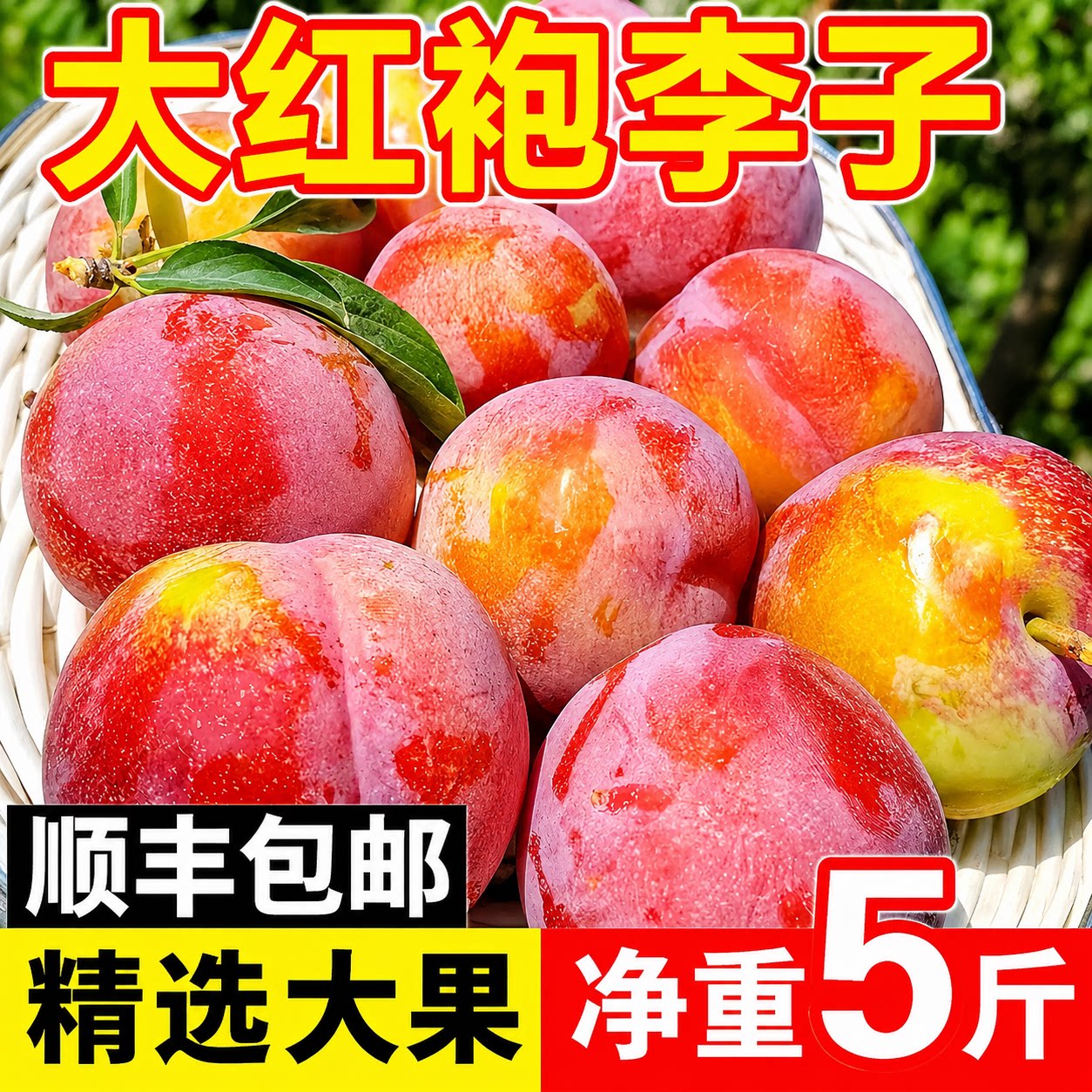 （顺丰包邮）东北大红袍李子干核李子
