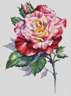 公主绣铺DMC线R线自配十字绣精准印花套件240710一朵玫瑰花