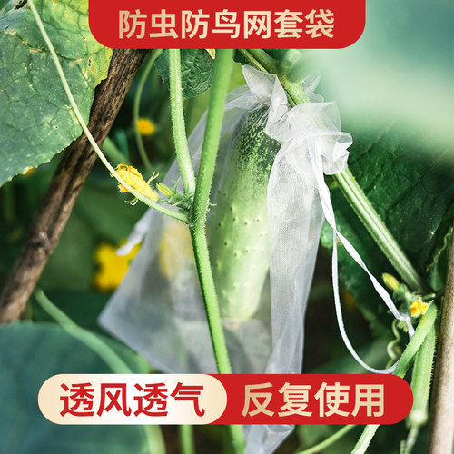 朴藤防虫防鸟套袋反复使用