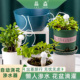自动浇花渗水器可调养花神器懒人家用绿植滴灌慢渗水器出差浇水器