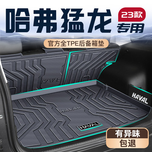 【官方定制】猛龙专用垫