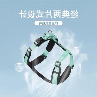 walking small and Dog sized for medium dogs leash