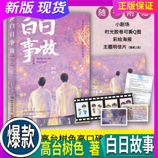 中国青春文学小说 新增主角互动向番外 Q图 白日事故 完结篇 明信片 赠小剧场 海报 校园成长救赎故事 正版 高台树色著 假一赔十