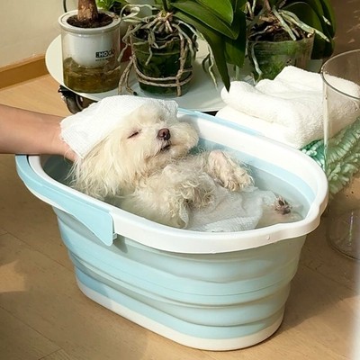 宠物狗狗洗澡盆折叠浴盆洗澡神器猫咪专用浴缸浴桶小型泰迪犬泡澡