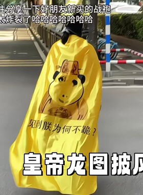 皇帝龙图披风A龙袍披风见朕为何不跪cosplay搞怪游戏扮演抽象百搭