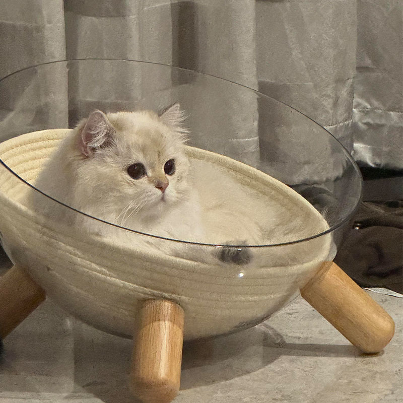 太空舱半圆透明四角猫窝四季通用封闭式安全感猫别墅猫床宠物沙发