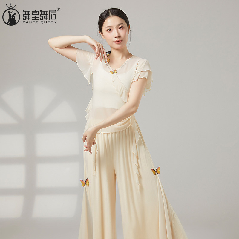 古典舞舞蹈服网纱蝴蝶飞袖上衣