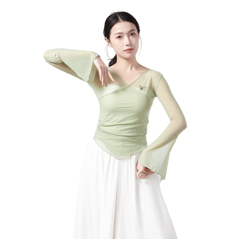 古典舞身韵纱衣班服艺考练功服