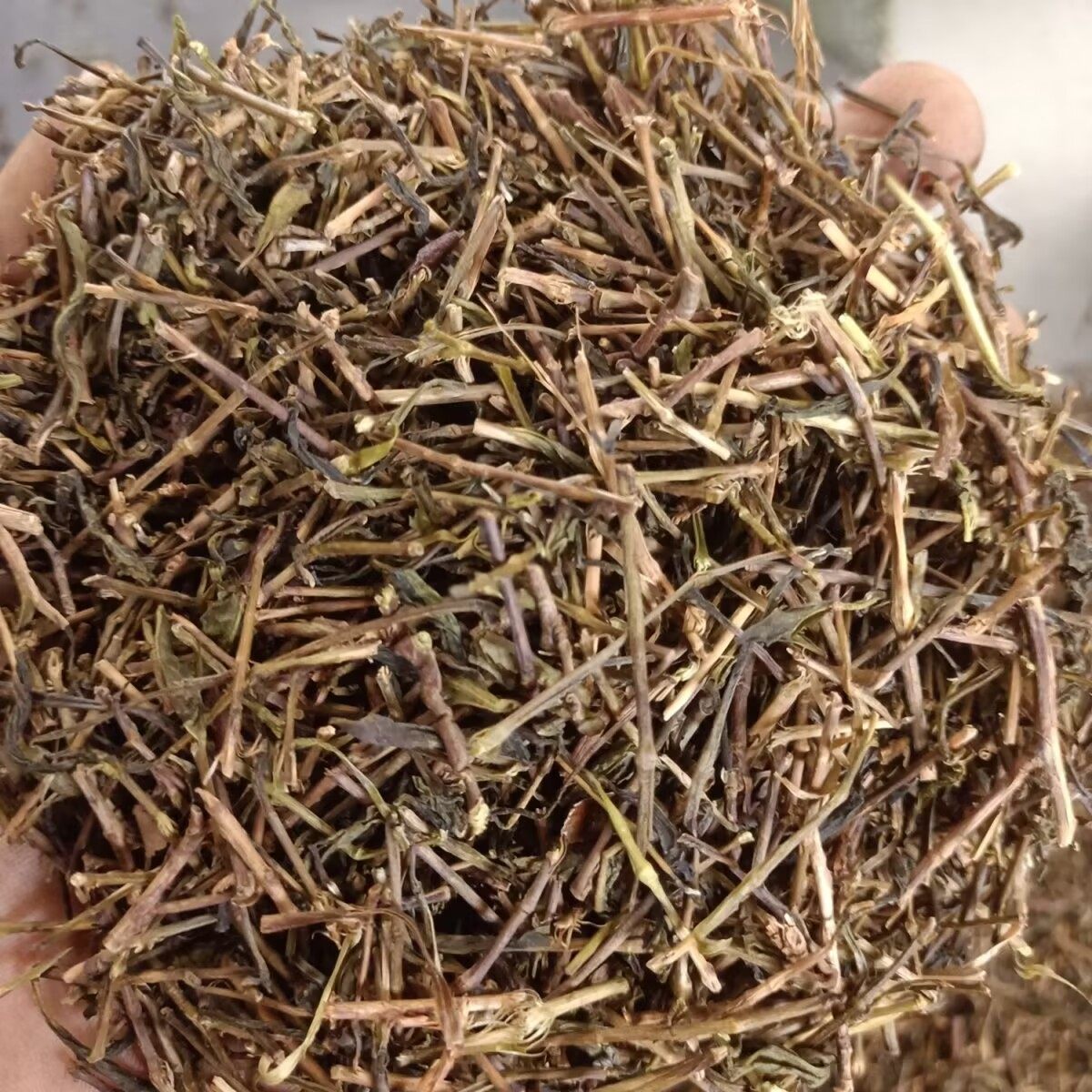 正宗高山茶茶梗潮汕茶鸭屎香抽湿二米单枞茶茶头正宗高山茶