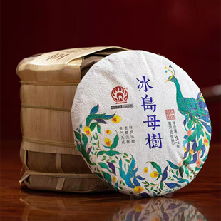 勐傣普洱茶2008~2023年勐傣冰岛母树 古树春茶普洱茶生茶茶叶357g