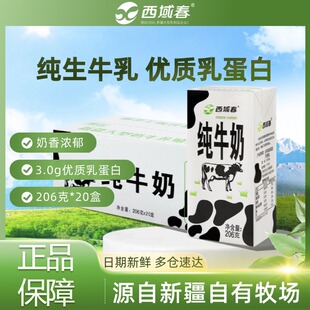 新疆西域春纯牛奶206g 20盒整箱成人学生新鲜营养早餐牛奶