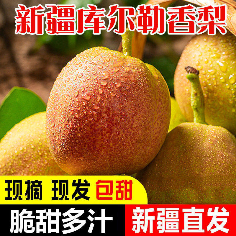 【新疆直发】新疆库尔勒香梨全母梨子新鲜水果大礼盒10斤精选,宠物/宠物食品及用品,鸟禽其他,淘宝优惠券,粉丝福利购,淘宝优惠卷