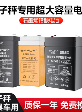 电子秤电秤电子称专用蓄电池30/150公斤通用电瓶4V充电器童车电池