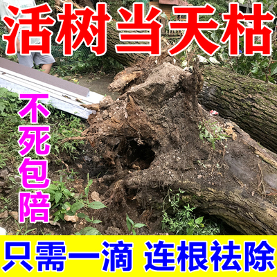 除树去草烂根剂除灌木竹子