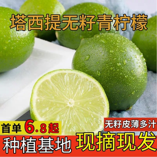 タイ産タヒチ産種なし小グリーンレモンフレッシュフルーツ1級タヒチ産皮が薄く、ジューシーで採れたて