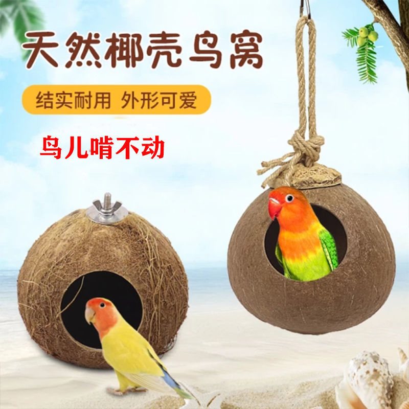Сувениры из кокосового ореха  Артикул 655066287260